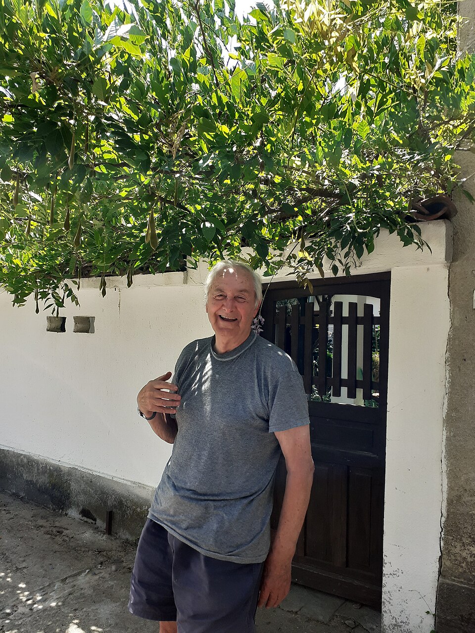 Иван Несторов